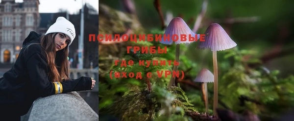 гидропоника Магас