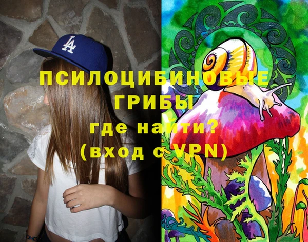 спиды Майский