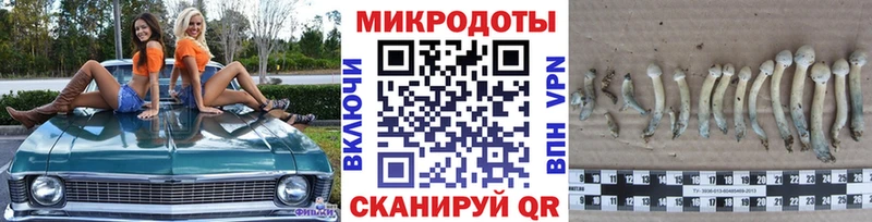 хочу   kraken как войти  Галлюциногенные грибы GOLDEN TEACHER  Тулун 