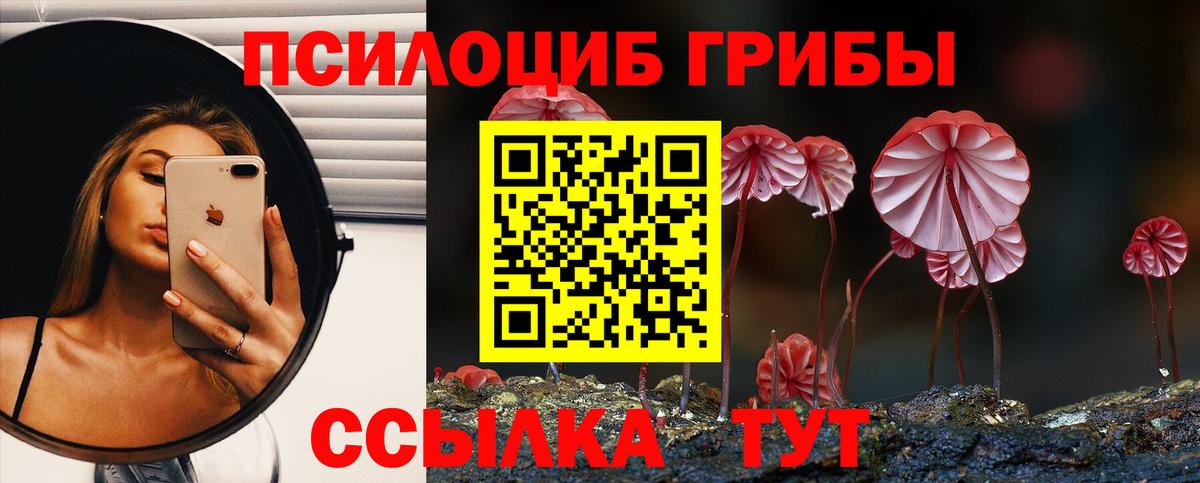 где найти   Галлюциногенные грибы ЛСД  Псилоцибиновые грибы прущие грибы  Вход с VPN  Тулун 